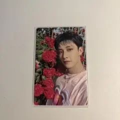 straykids スキズ バンチャン MAXIDENT 特典 トレカ