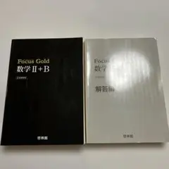 書き込み無し⭐️ Focus Gold 数学II+B 解答編付 ⭐️ 啓林館