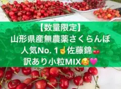 山形県産さくらんぼ 加工用1キロバラ詰め サイズミックス 朝採り配送