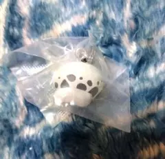 Item thumbnail for item e10cc510-dafb-4416-8bdd-32536897fb48