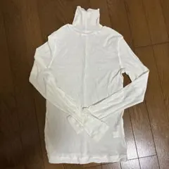 green label relaxing シアー メロー タートル カットソー