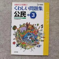 くわしい問題集 公民 中学3年