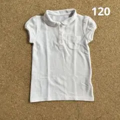 GITAスクール ポロシャツ 半袖　120