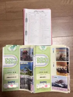 2026年最新】デイリーサピックス 2年生の人気アイテム - メルカリ