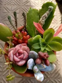 yuyuyu様 リクエスト 2点 まとめ商品