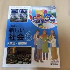 新編 新しい社会 6 政治・国際編