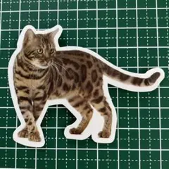 2026年最新】ベンガル 猫の人気アイテム - メルカリ