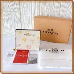 Item thumbnail for item 8738b7ed-b847-4ec9-ac84-340aeda2cf21