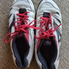 Item thumbnail for item 9a042b3b-281b-4d4e-8927-343f9b96e6e2