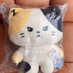 zeroni リニニ フラット ぬいぐるみ クッション rinini ZEROBASEONE ZB1 RICKY Rinini Zeroni Line Friends Plush Doll 30cm