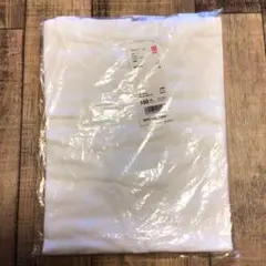 Item thumbnail for item 96656300-ef4b-497d-a1df-1a243339a2b8