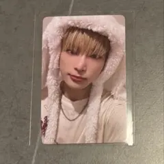 雪明かり &TEAM アニマル トレカ うさぎ HARUA ハルア