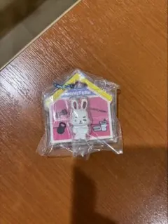 MINITEEN CHOITCHERRY キーホルダー 2個セット - メルカリ