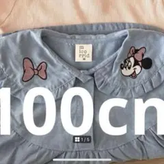 ぷりんさま専用