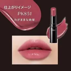 visee ネンマクフェイクルージュ　PK851 わがままな肉球