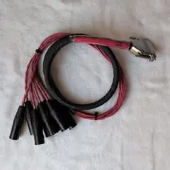 Item thumbnail for item fc6d3721-41d0-4bcc-9b61-c6df29b3449d