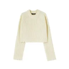 EMODA エモダ　クラッシュショートニット　セーター　長袖　ショート丈