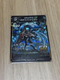 ゴライアスオオツノハナムグリ