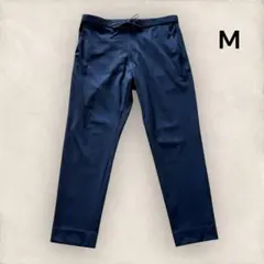 Item thumbnail for item 035b77e3-2f98-474f-ae73-1e565cda78a4