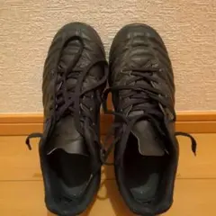 ミズノ モナルシーダ 23