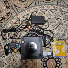 Nintendo GameCube DOL-001 本体＋ピクミン