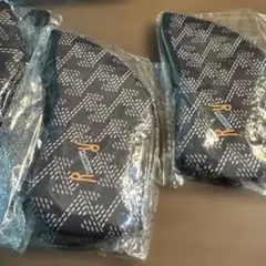 Item thumbnail for item c6315c89-373a-439c-b0ca-3c5834158240