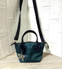 ᯽美品᯽ANASUI アナスイ　2wayショルダーバッグ　コンパクトのサムネイル