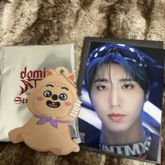 スキズ straykids ミニうちわキーホルダー ラントレ ハン