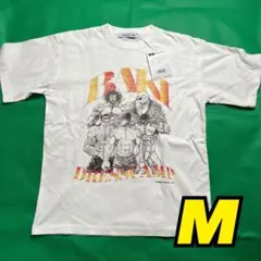 グラップラー刃牙 範馬勇次郎 愚地独歩 花山薫 烈海王 かすれ Tシャツホワイトのサムネイル