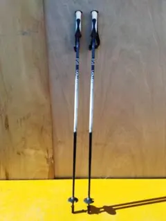 サロモン　SALOMON　スキー　ストック　Φ16mm 黒　白　110cm 2026年最新】SALOMON スキー ストックの人気アイテム - メルカリ