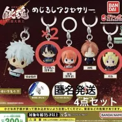 銀魂 めじるしアクセサリー 吉原大炎上 志村新八 神楽 月詠