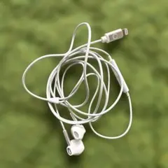 iPhoneイヤホン￼
