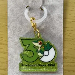 ポケモン ポケチャーム 30周年ロゴマスコット2