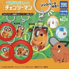 つながリングチャーム 劇場版 チェンソーマン レゼ篇 ポチタBDE セット 3つ