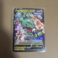 レックウザV：ドラゴンポケモンVゲットチャレンジ PROMO S-Pプロモカー…