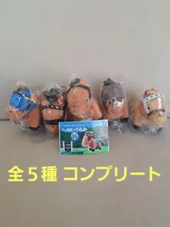 【最安値】サラブレッドコレクション ぷちぬいぐるみ 7 全5種コンプリート