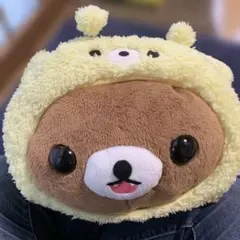専用出品】 きち様 専用 初期ピカ ハンドメイド ねこ着ぐるみ - メルカリ