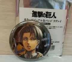 2026年最新】リヴァイ 缶バッジ ヘキサライドの人気アイテム - メルカリ