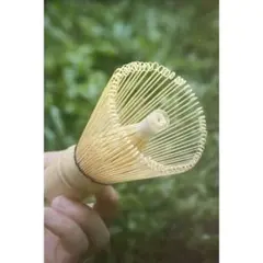 Item thumbnail for item 441e4b45-f62e-4832-882b-d7519867de63