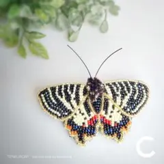 2026年最新】ギフチョウの人気アイテム - メルカリ