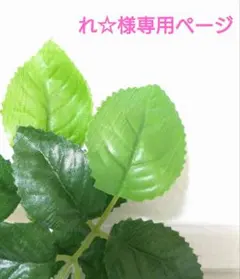 ＊れ☆様専用ページ＊