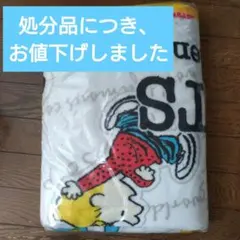 スヌーピー　 ブランケット他10点セット