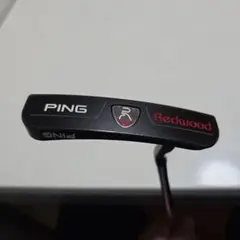 2026年最新】ピン レッドウッド ZB パターの人気アイテム - メルカリ