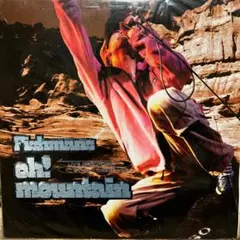 3枚セット Fishmans Oh! Mountain,Little Tempo