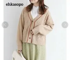 エヘカソポ 洗える チルデン透かし編みVネックカーディガン F ゆったり 春