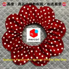 Item thumbnail for item 77da4951-a080-4fa8-8395-6bc3dc6534b7