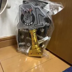 AWARD WEST.　ペンライト