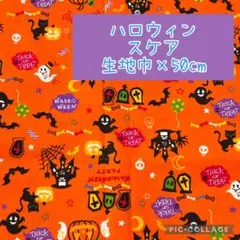 (特価90)スケア　シーチング　ハロウィン　おばけ　かぼちゃ　黒猫　生地巾×50