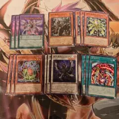 遊戯王 捕食植物 セット