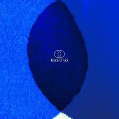 サカナクション アナログレコード kikUUiki 180g重量盤 ステッカー付